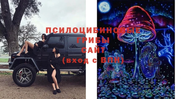 бошки Козловка
