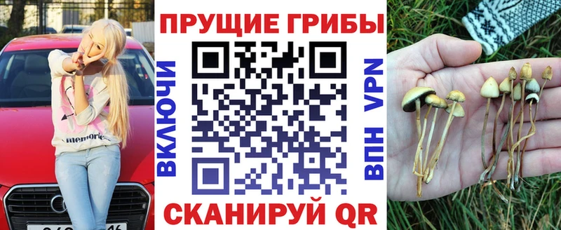 Псилоцибиновые грибы прущие грибы  Черкесск 