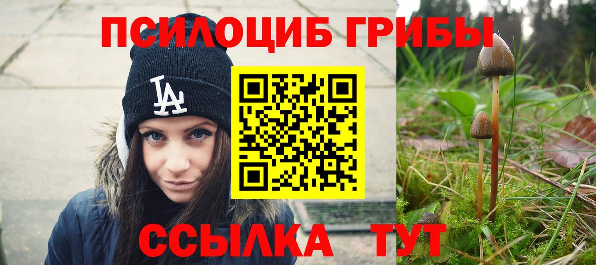 Псилоцибиновые грибы Cubensis Черкесск