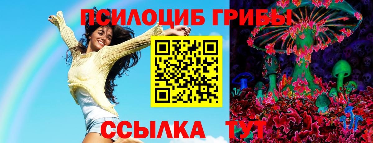 Псилоцибиновые грибы Cubensis  Галлюциногенные грибы Magic Shrooms  купить наркоту  Вход с VPN  Черкесск 