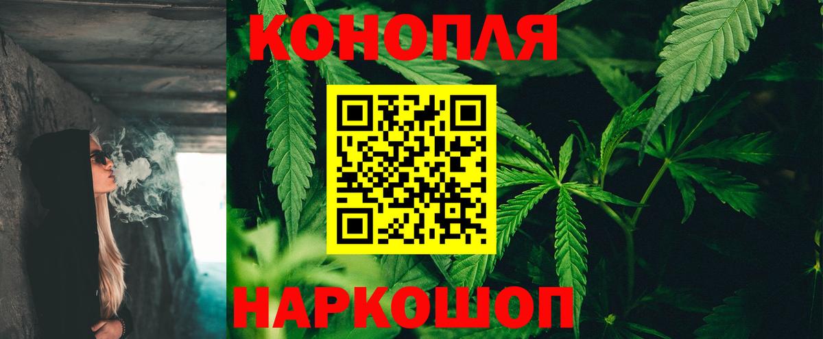 Марихуана сатива Черкесск